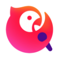 海豚加速器app