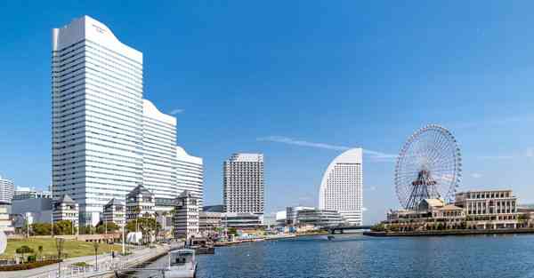 海外vnp