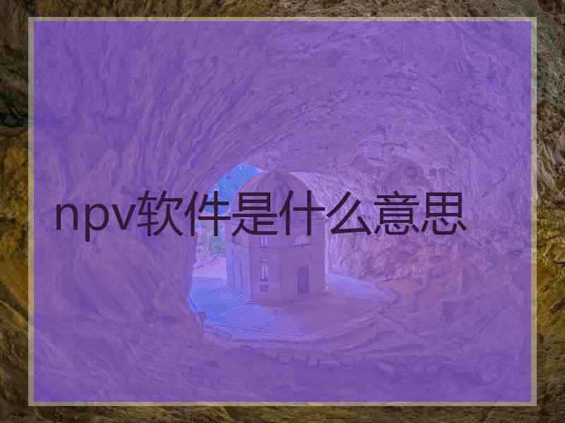 npv软件是什么意思
