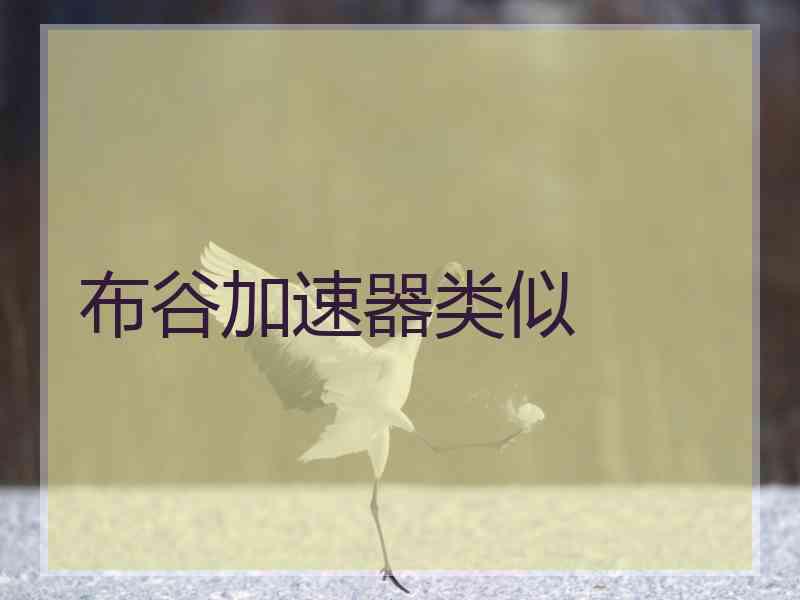 布谷加速器类似