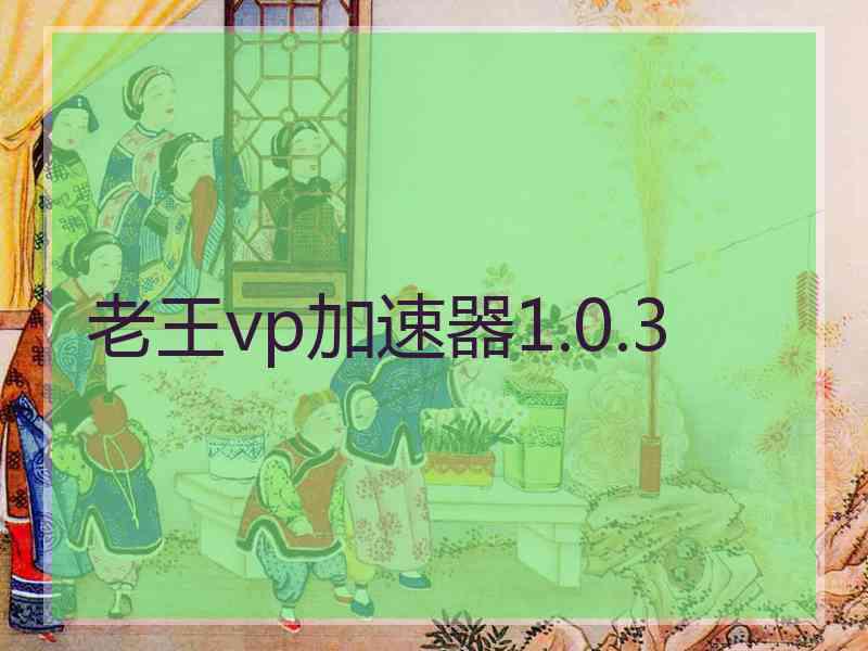 老王vp加速器1.0.3