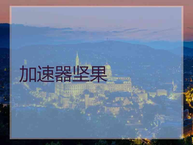 加速器坚果