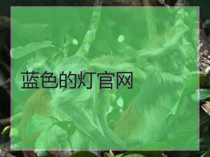 蓝色的灯官网