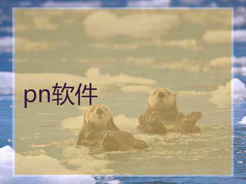 pn软件