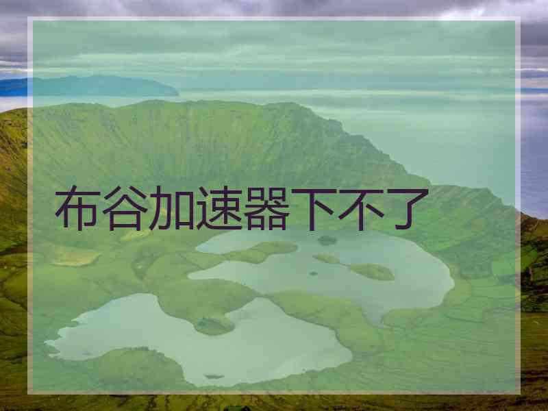布谷加速器下不了