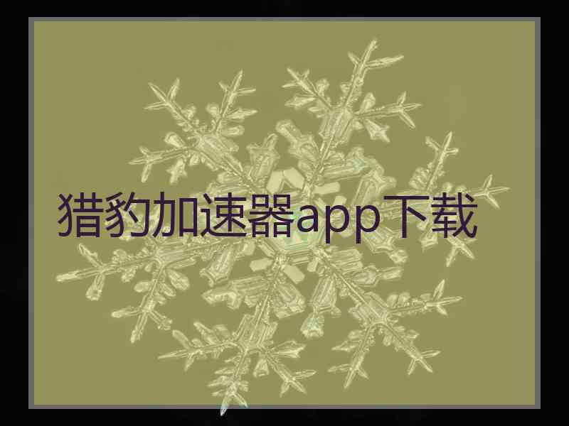 猎豹加速器app下载