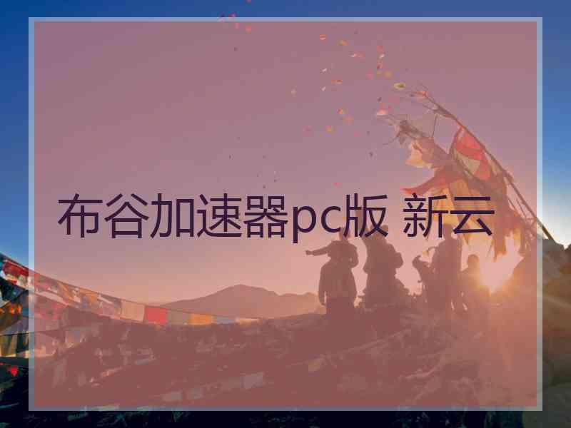 布谷加速器pc版 新云