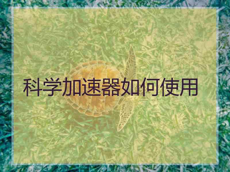 科学加速器如何使用
