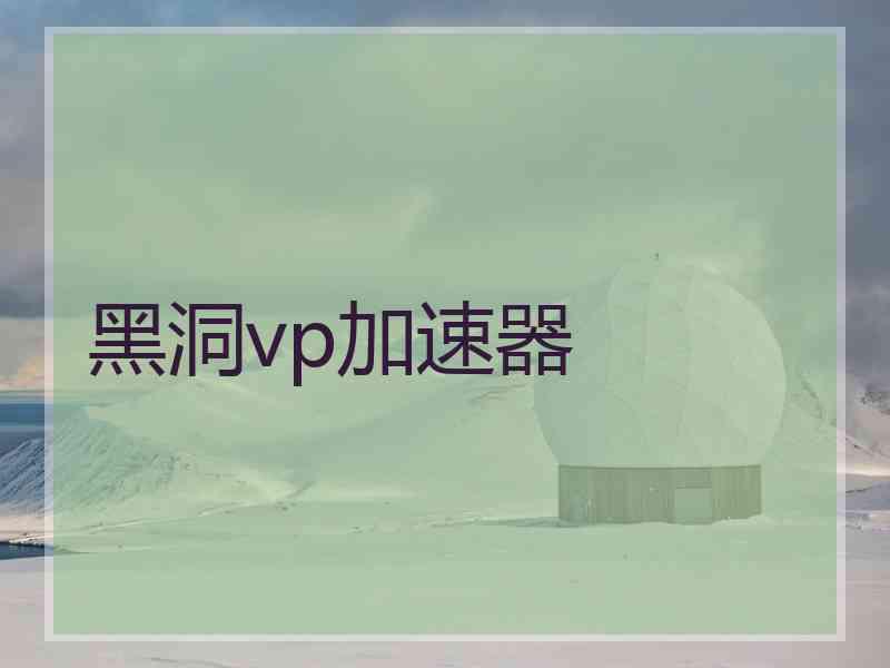 黑洞vp加速器