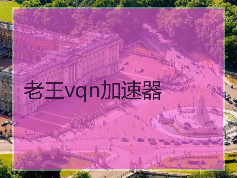 老王vqn加速器