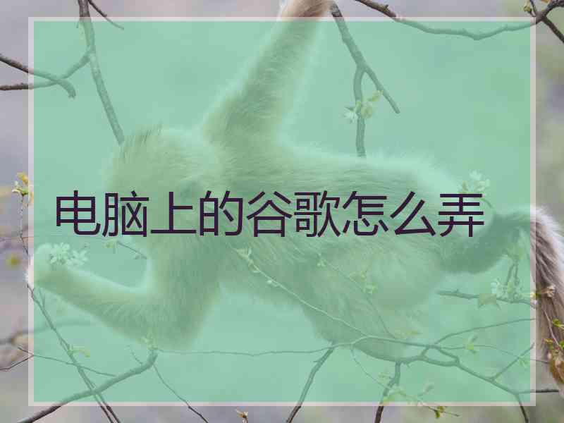 电脑上的谷歌怎么弄