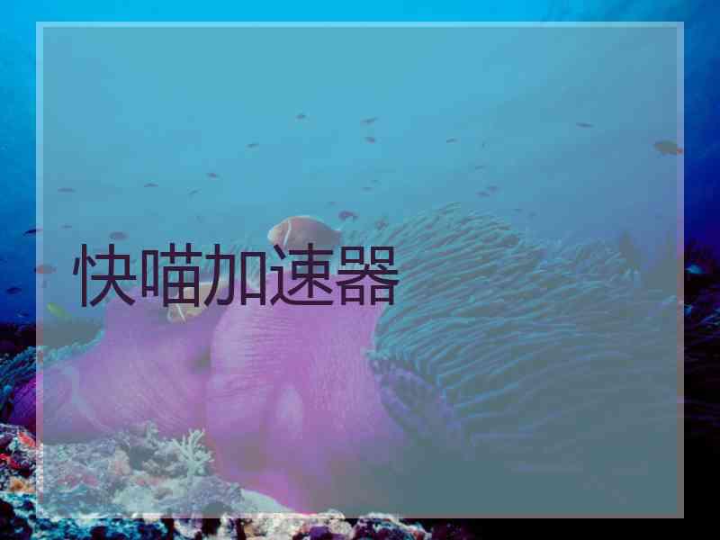 快喵加速器