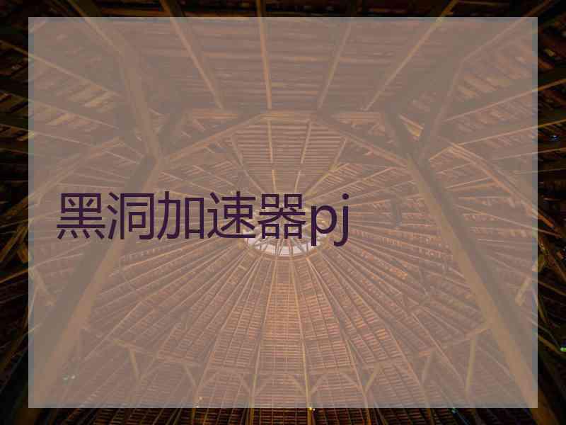 黑洞加速器pj