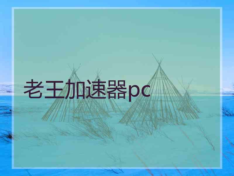 老王加速器pc