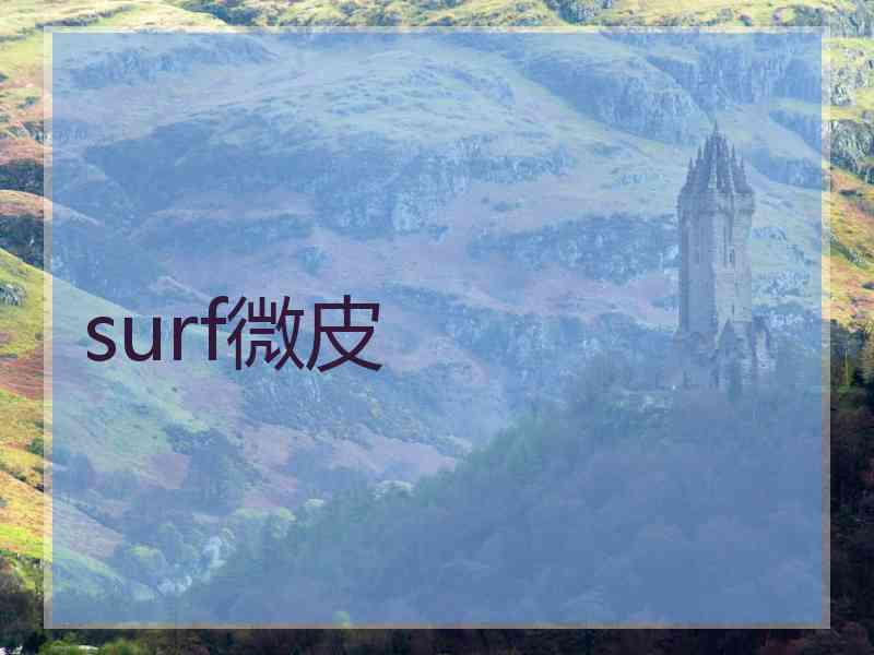 surf微皮