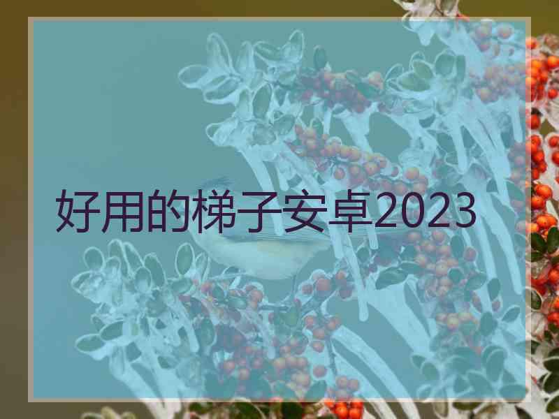 好用的梯子安卓2023