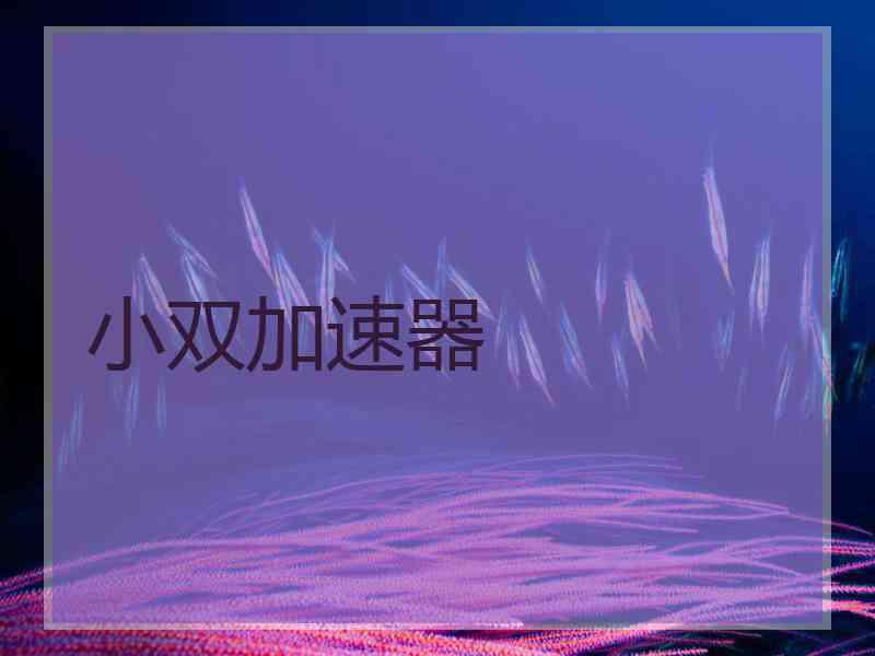 小双加速器