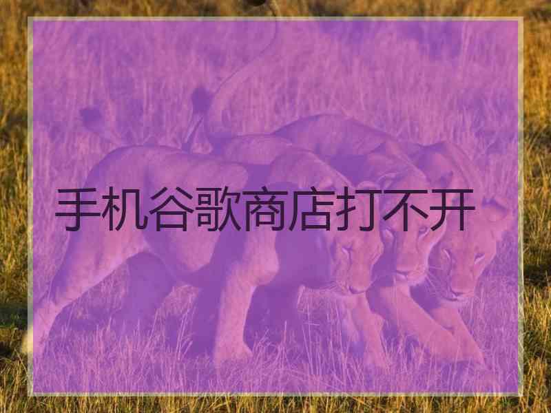 手机谷歌商店打不开