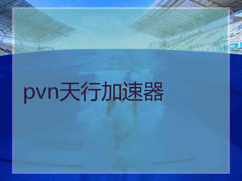 pvn天行加速器