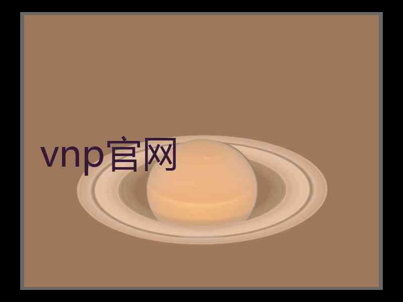 vnp官网
