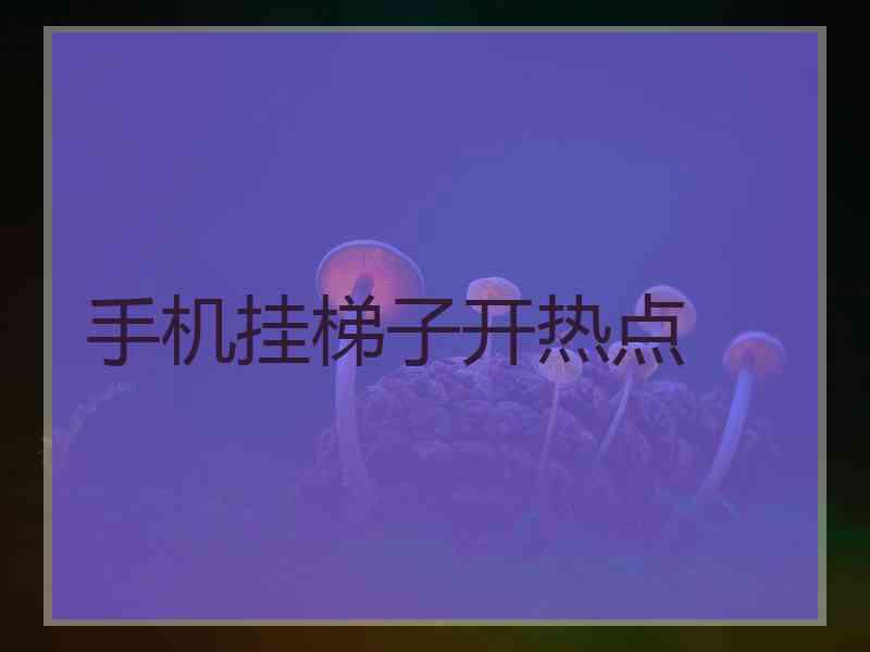 手机挂梯子开热点