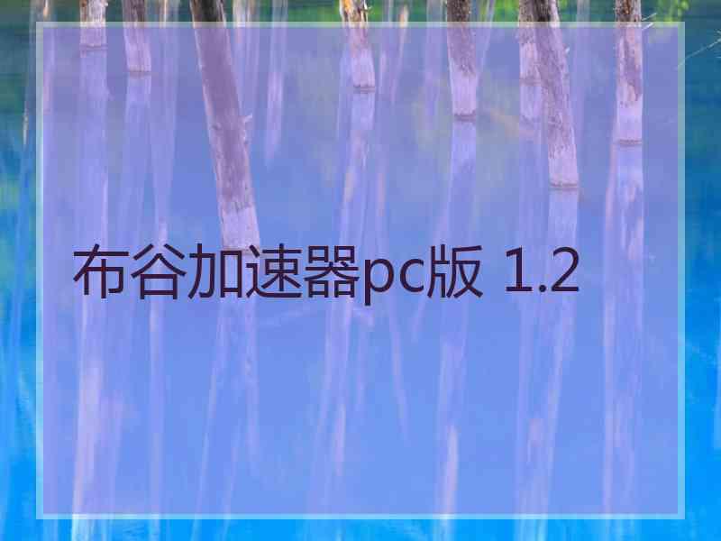 布谷加速器pc版 1.2