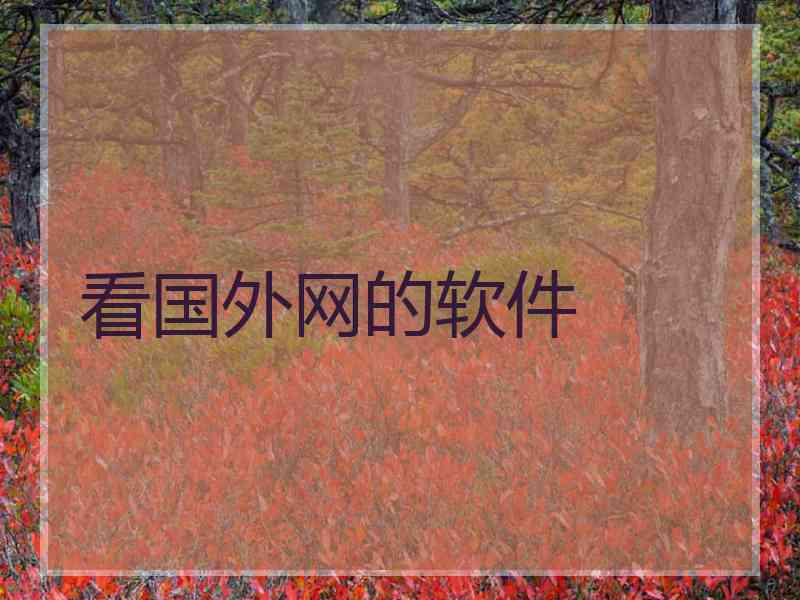看国外网的软件