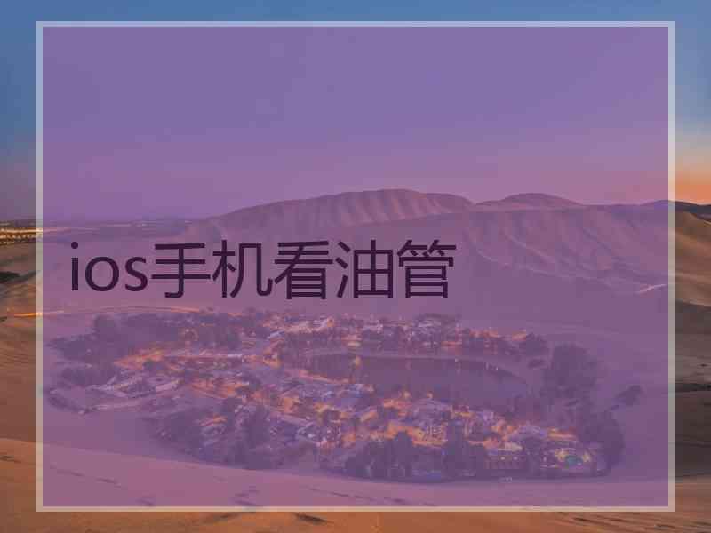 ios手机看油管