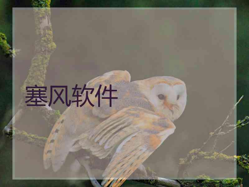 塞风软件