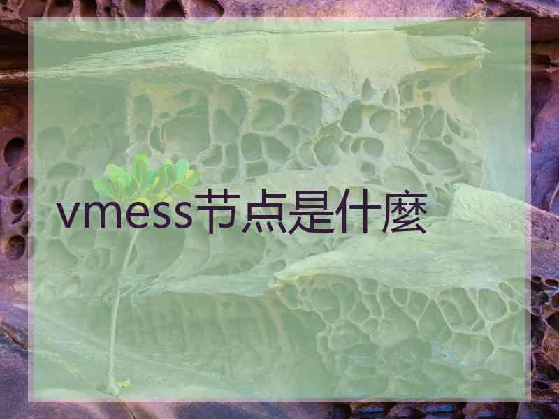 vmess节点是什麼