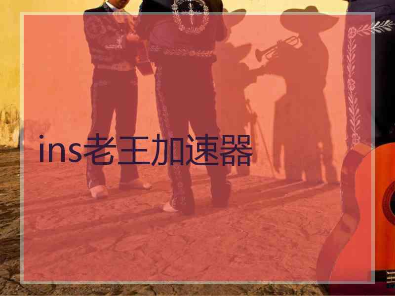 ins老王加速器