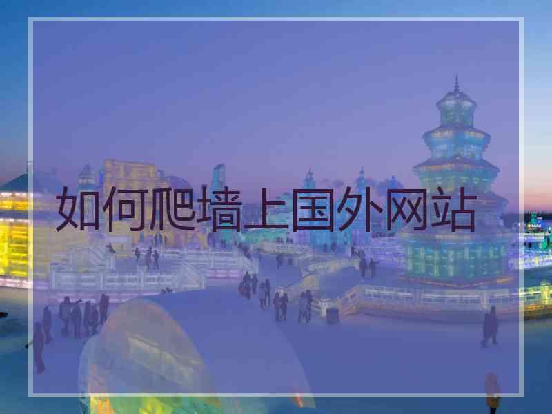 如何爬墙上国外网站