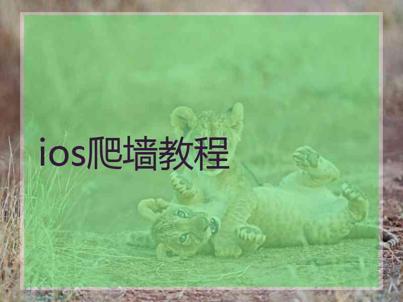 ios爬墙教程