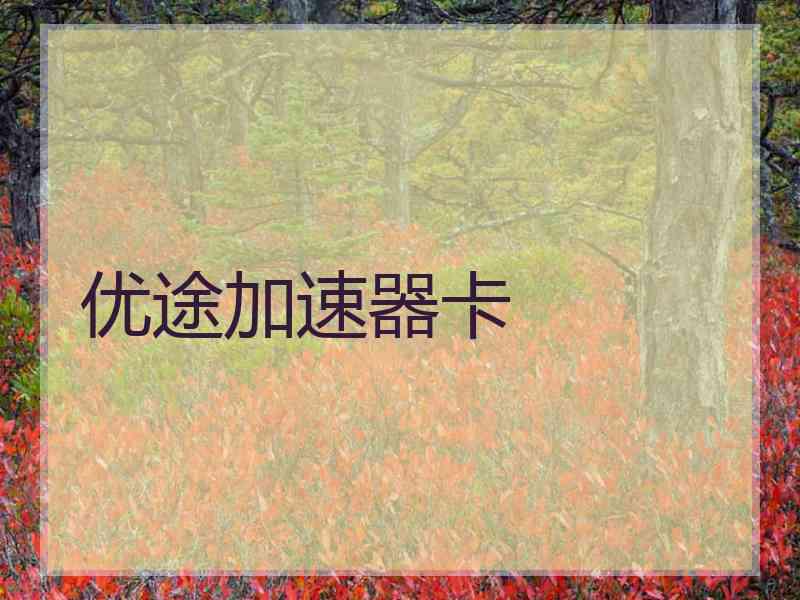 优途加速器卡