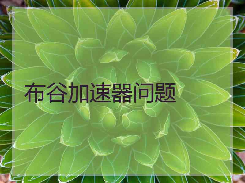 布谷加速器问题